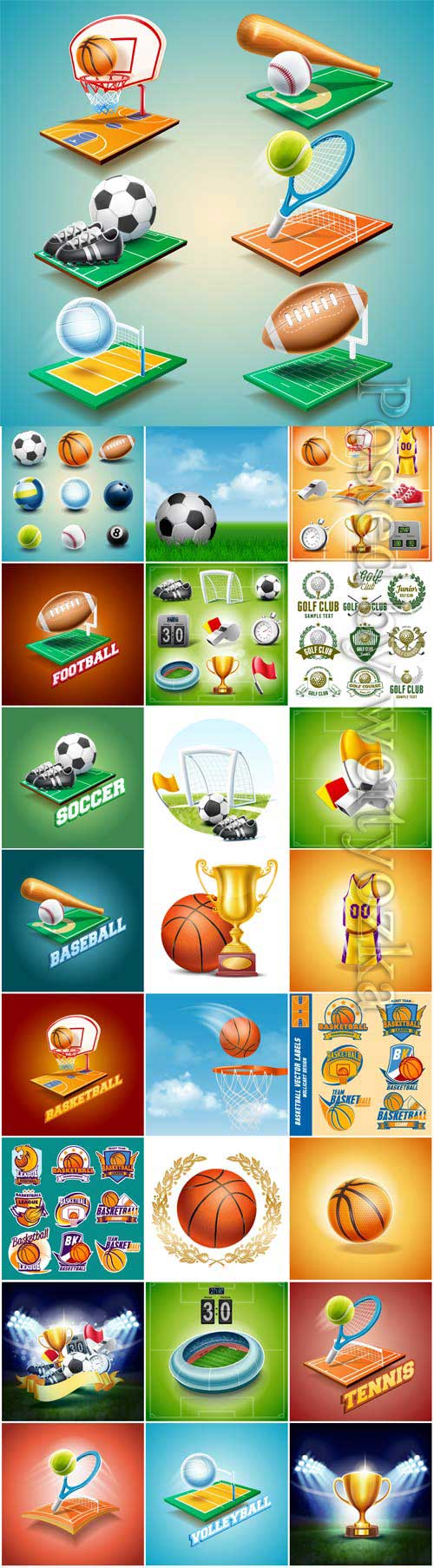 Sports items, balls and awards in vector