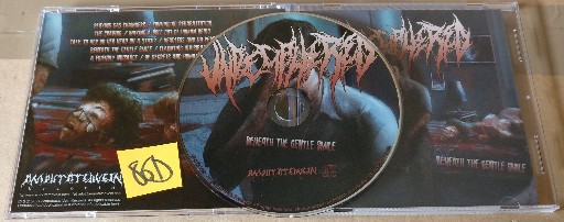 Undeciphered-Beneath the Gentle Smile-(AVR112)-CD-FLAC-2021-86D