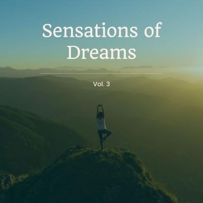 Various Artists   Sensations of Dreams Vol. 2 (2021)