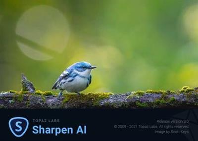 Topaz Sharpen AI 3.1.1 (x64) Portable