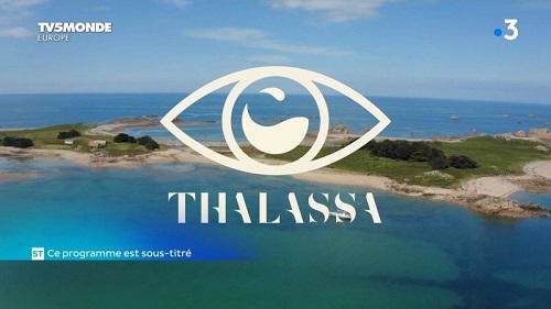 TV5Monde Thalassa - De Brest à Paimpol (2020)