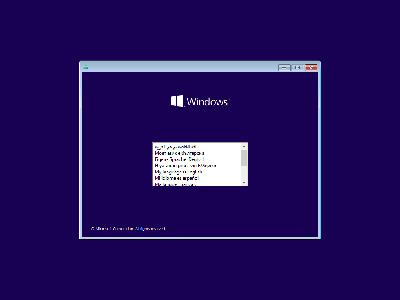 Windows 10 Pro 21H1 10.0.19043.1023 (x86x64) Multilingual Preactivated