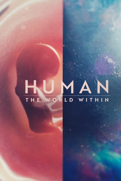 Human The World Within S01E01 1080p HEVC x265-MeGusta