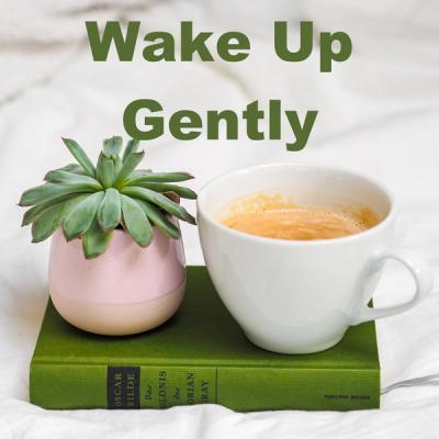Various Artists   Wake Up Gently (2021)