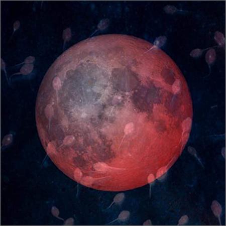 Tadpoles  - Nine Rays Of Moonshine  (2021)