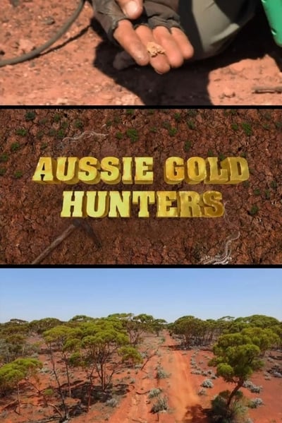 Aussie Gold Hunters S06E16 720p HEVC x265-MeGusta