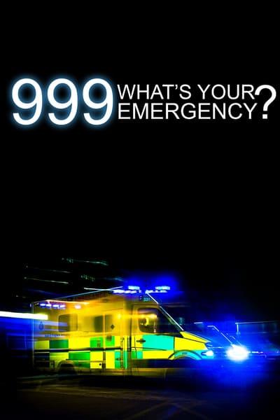 999 Whats Your Emergency S13E01 720p HEVC x265 