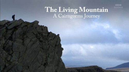 BBC Secret Knowledge - The Living Mountain A Cairngorms Journey (2014)
