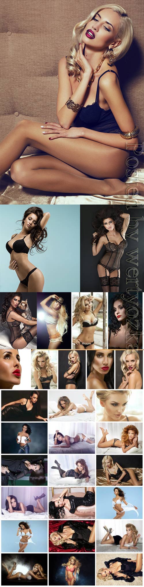 Luxury women in lingerie posing stock photo vol 20