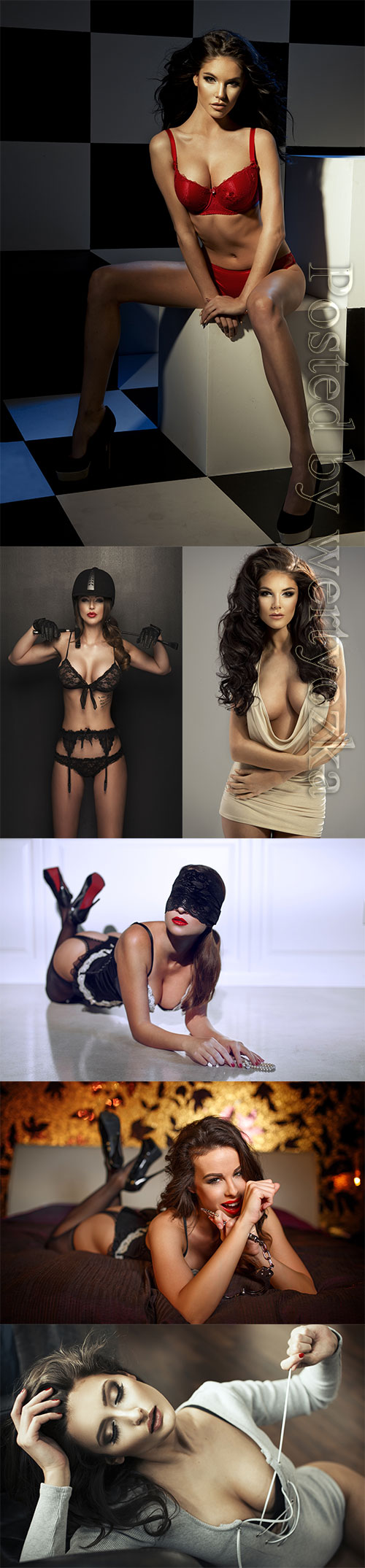 Luxury women in lingerie posing stock photo vol 17