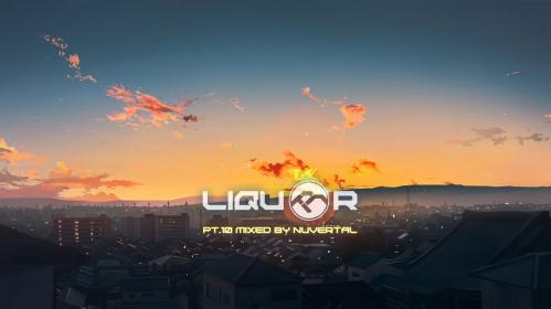 Download Liquor — Pt.10 Mixed by Nuvertal (Ex. Soulpunk) mp3