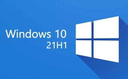Windows 10 21H1 10.19043.1055 AIO 16in1 Multilingual - Integral Edition June 2021