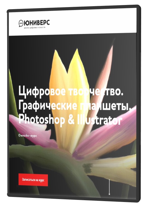  .  , Photoshop & Illustrator (2021) 