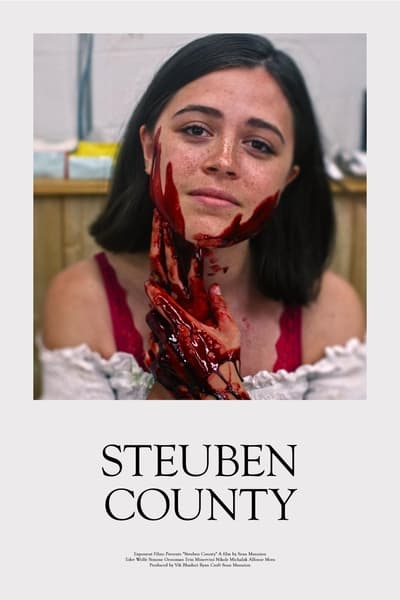Steuben County (2020) 720p WEBRip x264-RM
