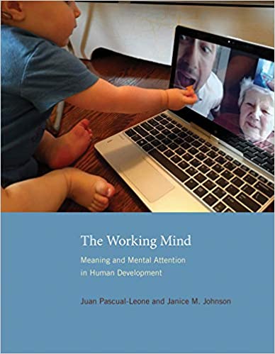 The Working Mind: Meaning and Mental Attention in Human Development (The MIT Press)