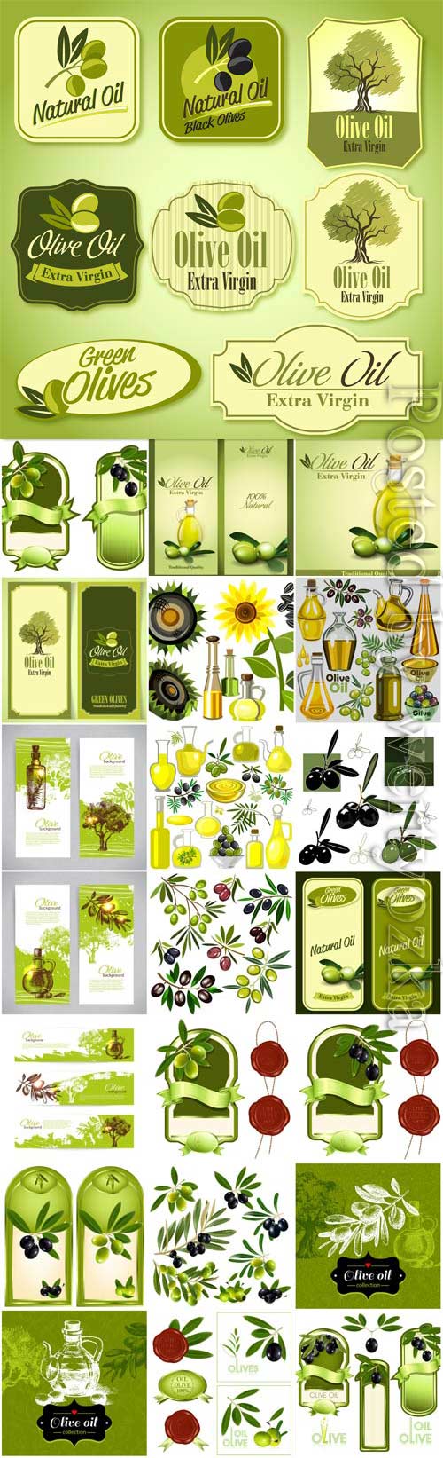 Labels and backgrounds with olives, olive oil in vector