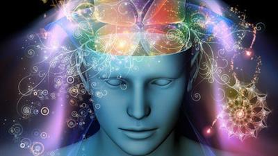Reprogram Your Mind With The Mind Feedback Loop System?