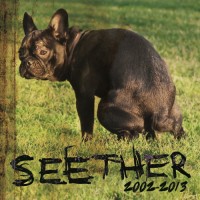 Seether   Seether 2002 2013