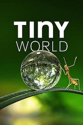 Крошечный мир / Tiny World [Сезон: 1] (2020) WEB-DL 1080p