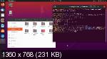 Ubuntu 20.04.2 Focal Fossa LTS Desktop amd64 (MULTi/RUS/2021)