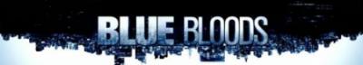 Blue Bloods S11E06 The New Normal 1080p HDTV x264-aFi