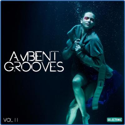 Various Artists - Ambient Grooves Vol 2 (2021)