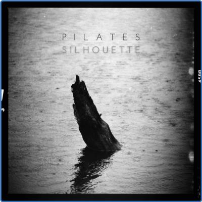 Various Artists - Pilates Silhouette (2021)