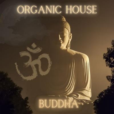 Various Artists - Organic House - Buddha (2021)
