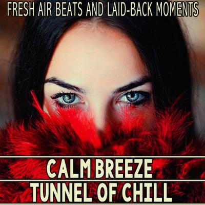 Various Artists - Calm Breeze - Tunnel of Chill (2021)