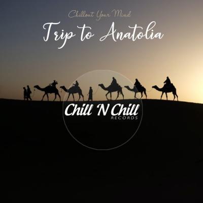 Various Artists - Trip to Anatolia Chillout Your Mind (2021)