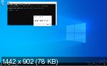 Windows 10 Pro x64 21376.1 co_Release BIZ (RUS/2021)