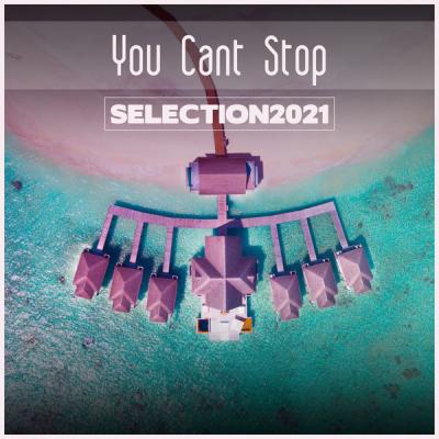 Various Artists - You Cant Stop Selection (2021)