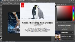 Adobe Photoshop 2020 v21.2.12.215 [x64] (2020) PC 