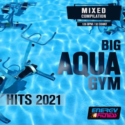 Various Artists - Big Aqua Gym Hits 2021 (2021)