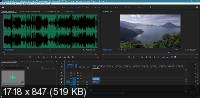 Adobe Premiere Pro 2021 15.2.0.35 RePack by PooShock