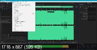 Adobe Audition 2020 13.0.13.46 Rus/Eng Portable by conservator