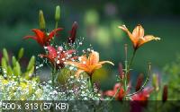 Wallpapers Mix 892