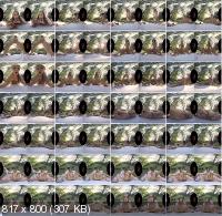 VirtualRealPorn - Cindy Shine - Au Naturel (FullHD/1080p/3.09 GB)