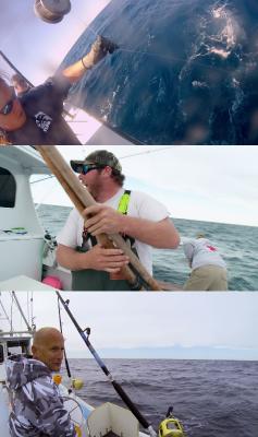 Wicked Tuna Outer Banks S01E01 1080p HEVC x265-MeGusta