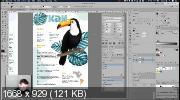 Adobe Illustrator. Продвинутый уровень. Гибридный курc (2020)